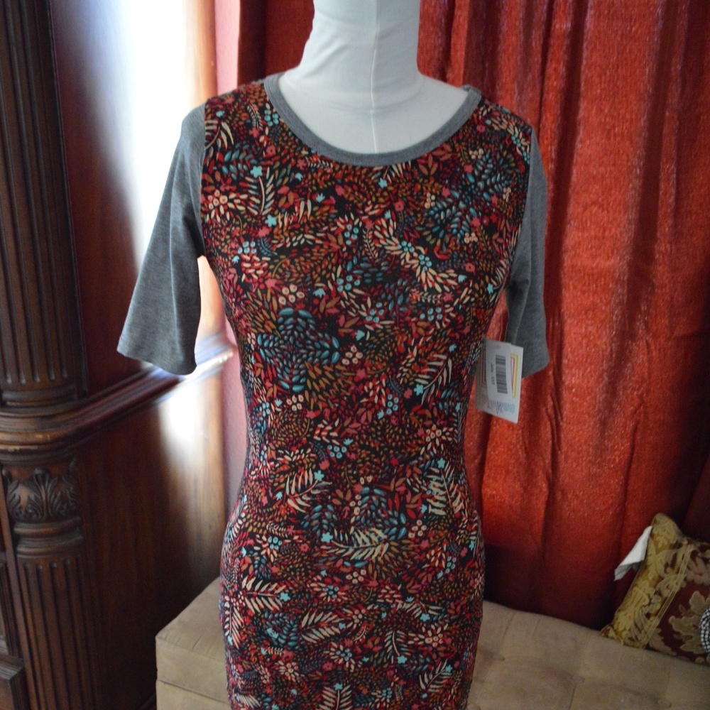 LulaRoe Julia Autumn Print with Contrast Sleeves